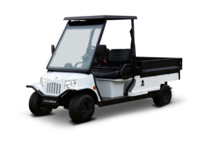 golf carts with a bed on the back for sale