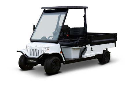 golf carts with a bed on the back for sale