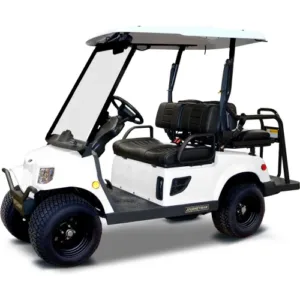 cheap golf cart rentals seats service carts